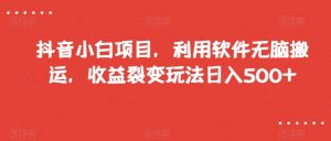 抖音小白项目，利用软件无脑搬运，收益裂变玩法日入500+【揭秘】-润泽资源库