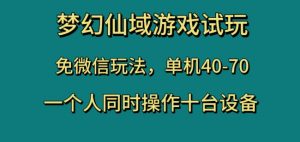 梦幻仙域游戏试玩，免微信玩法，单机40-70，一个人同时操作十台设备【揭秘】-润泽资源库