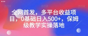 全网首发，多平台收益项目，0基础日入500+，保姆级教学实操落地【揭秘】-润泽资源库