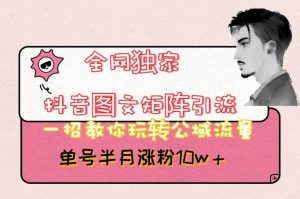全网独家抖音图文矩阵引流,一招教你玩转公域流量,单号半月涨粉10w+【揭秘】-润泽资源库