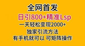 全网首发！日引800+精准老色批，一天变现2000+，独家引流方法，可矩阵操作【揭秘】-润泽资源库