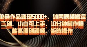 单条作品变现5000+、外网视频搬运二创，小白可上手，10分钟制作爆款高原创视频，矩阵操作【揭秘】-润泽资源库