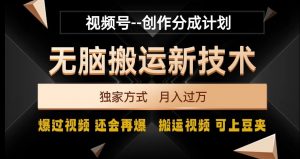 视频号无脑搬运新技术,破原创壕流量,独家方式,爆过视频,还会再爆【揭秘】-润泽资源库