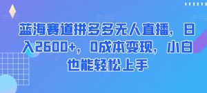 蓝海赛道拼多多无人直播，日入2600+，0成本变现，小白也能轻松上手【揭秘】-润泽资源库