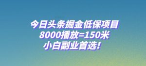 今日头条掘金低保项目，8000播放=150米，小白副业首选【揭秘】-润泽资源库