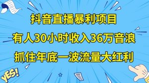 抖音直播暴利项目,有人30小时收入36万音浪,公司宣传片年会视频制作,抓住年底一波流量大红利【揭秘】-润泽资源库
