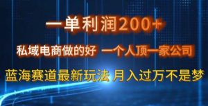 一单利润200私域电商做的好，一个人顶一家公司蓝海赛道最新玩法【揭秘】-润泽资源库