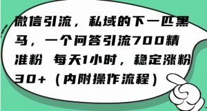怎么搞精准创业粉?微信新赛道,每天一小时,利用Ai一个问答日引100精准粉-润泽资源库