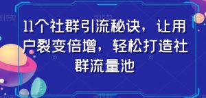 11个社群引流秘诀,让用户裂变倍增,轻松打造社群流量池-润泽资源库