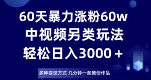 60天暴力涨粉60W，中视频另类玩法，日入3000＋，几分钟一条原创作品多种变现方式-润泽资源库
