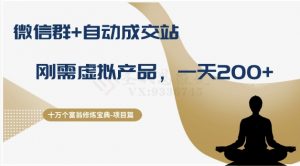 十万个富翁修炼宝典之8.微信群+自动成交站，刚需虚拟产品，一天200+-润泽资源库