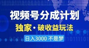 视频号分成计划，独家·破收益玩法，日入3000不是梦【揭秘】-润泽资源库