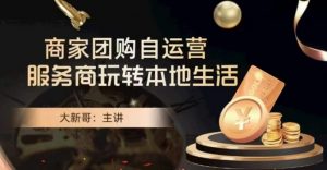 大新哥·商家团购自运营-玩转本地生活-润泽资源库