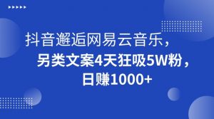 抖音邂逅网易云音乐，另类文案4天狂吸5W粉，日赚1000+【揭秘】-润泽资源库