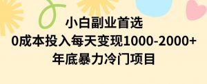 小白副业首选，0成本投入，每天变现1000-2000年底暴力冷门项目【揭秘】-润泽资源库