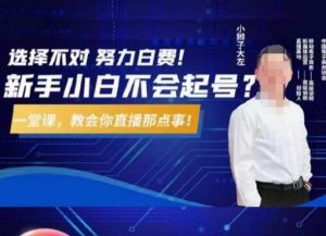 大左教您从0到1做直播带货，选择不对，努力白费，5小时课程搞定那点事，解决你起号问题-润泽资源库
