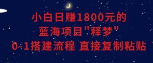 小白能日赚1800元的蓝海项目”释梦”0-1搭建流程可直接复制粘贴长期做【揭秘】-润泽资源库