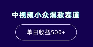 中视频小众爆款赛道，7天涨粉5万+，小白也能无脑操作，轻松月入上万【揭秘】-润泽资源库
