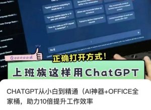 CHATGPT从小白到精通,AI神器+OFFICE全家桶,助力10倍提升工作效率-润泽资源库