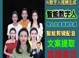 伍老师Ai数字人快速剪辑制作以及变现视频课-润泽资源库
