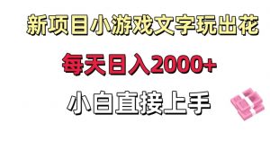 新项目小游戏文字玩出花日入2000+，每天只需一小时，小白直接上手【揭秘】-润泽资源库