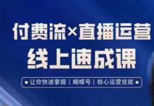 视频号付费流实操课程，付费流✖️直播运营速成课，让你快速掌握视频号核心运营技能-润泽资源库