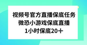 视频号直播任务，微恐小游戏，1小时20+【揭秘】-润泽资源库