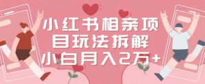 小红书相亲项目玩法拆解，有人通过这个副业项目做到了月收入2万多【揭秘】-润泽资源库