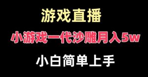 玩小游戏一代沙雕月入5w，爆裂变现，快速拿结果，高级保姆式教学【揭秘】-润泽资源库