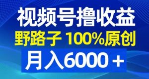 视频号野路子撸收益，100%原创，条条爆款，月入6000＋【揭秘】-润泽资源库