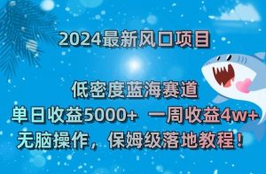 2024最新风口项目，低密度蓝海赛道，单日收益5000+，一周收益4w+！【揭秘】-润泽资源库