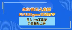 小红书无人直播月入30gmv实操教学，月入上w不是梦，小白轻松上手【揭秘】-润泽资源库