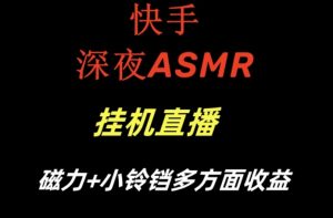 快手深夜ASMR挂机直播，磁力+小铃铛收益（附带工具和5G素材）【揭秘】-润泽资源库