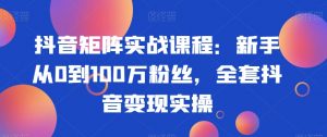 抖音矩阵实战课程：新手从0到100万粉丝，全套抖音变现实操-润泽资源库