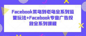 Facebook菜鸟到老鸟全系列运营玩法+Facebook专业广告投放全系列课程-润泽资源库