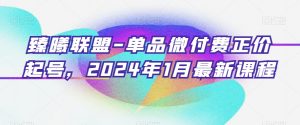 臻曦联盟-单品微付费正价起号，2024年1月最新课程-润泽资源库