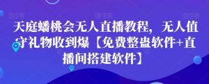 天庭蟠桃会无人直播教程，无人值守礼物收到爆【免费整蛊软件+直播间搭建软件】-润泽资源库