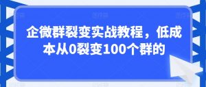 企微群裂变实战教程,低成本从0裂变100个群的-润泽资源库