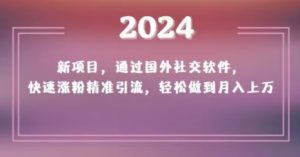 2024新项目,通过国外社交软件,快速涨粉精准引流,轻松做到月入上万【揭秘】-润泽资源库