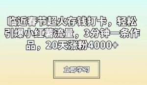 临近春节超火存钱打卡,轻松引爆小红薯流量,3分钟一条作品,20天涨粉4000+【揭秘】-润泽资源库