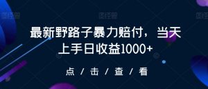 最新野路子暴力赔付，当天上手日收益1000+【仅揭秘】-润泽资源库
