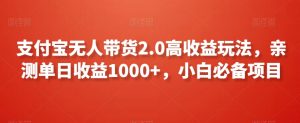 支付宝无人带货2.0高收益玩法，亲测单日收益1000+，小白必备项目【揭秘】-润泽资源库