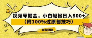 视频号掘金，小白轻松日入800+（附100%过原创技巧）【揭秘】-润泽资源库