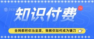 2024最新知识付费项目,小白也能轻松入局,全网都在教你做项目,我教你做镰刀【揭秘】-润泽资源库