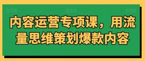 内容运营专项课，用流量思维策划爆款内容-润泽资源库