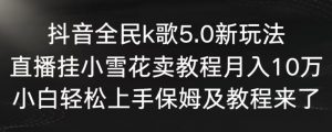 抖音全民k歌5.0新玩法，直播挂小雪花卖教程月入10万，小白轻松上手，保姆及教程来了【揭秘】-润泽资源库