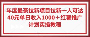 年度最豪拉新项目拉新一人可达40元单日收入1000+红薯推广计划实操教程【揭秘】-润泽资源库