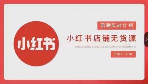 安琪-小红书店铺无货源实战,开店到售后全流程操作-润泽资源库