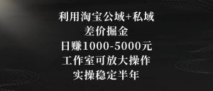 利用淘宝公域+私域差价掘金，日赚1000-5000元，工作室可放大操作，实操稳定半年【揭秘】-润泽资源库
