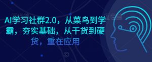 AI学习社群2.0，从菜鸟到学霸，夯实基础，从干货到硬货，重在应用-润泽资源库